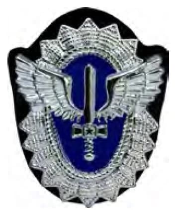 DISTINTIVO DE QUEPE - SARGENTO — imagem 1