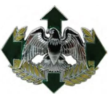 DISTINTIVO DE QUEPE - SEGURANÇA E OP. ESPECIAIS — imagem 1