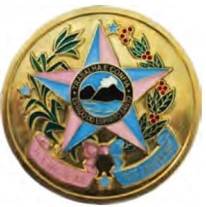 DISTINTIVO DE QUEPE - TRABALHA E CONFIA ES — imagem 1