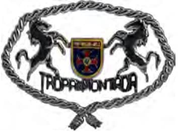 DISTINTIVO DE QUEPE - TROPA MONTADA GIA — imagem 1
