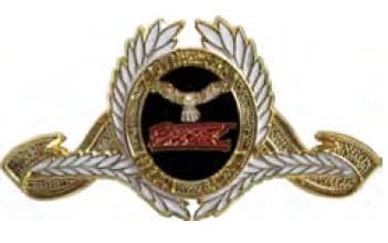 DISTINTIVO DE QUEPE - PROERD — imagem 1