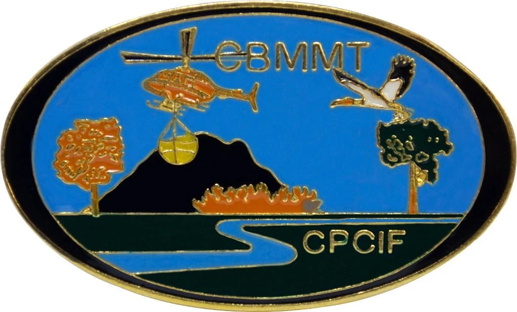 DISTINTIVO DE CURSO - CPCIF / CBM MT — imagem 1