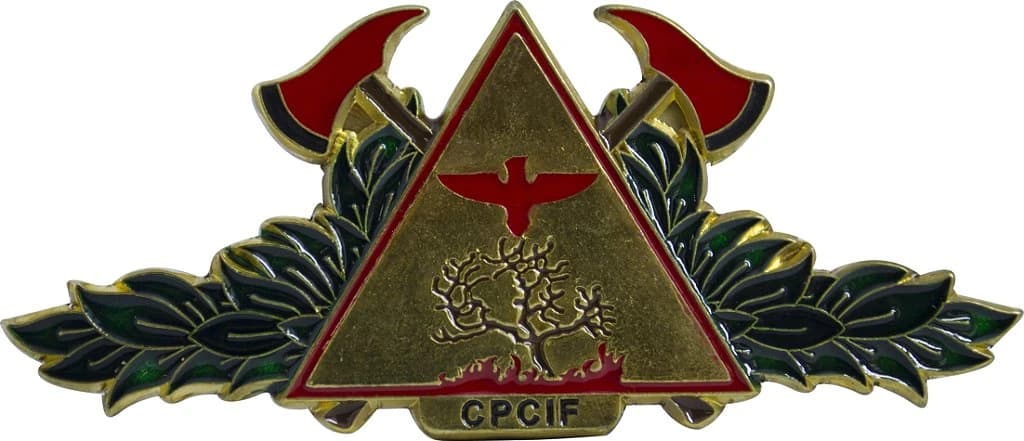DISTINTIVO DE CURSO - CPCIF — imagem 1