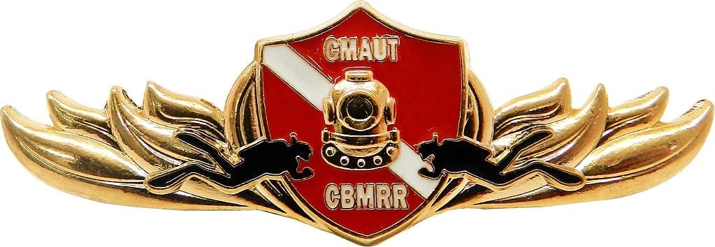 DISTINTIVO DE CURSO - CMAUT / CBM RR — imagem 1