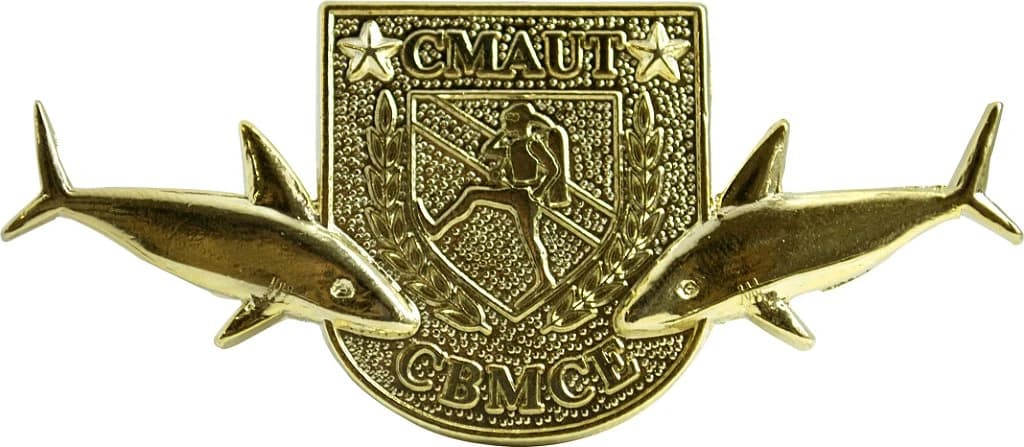DISTINTIVO DE CURSO - CMAUT / CBM CE — imagem 1