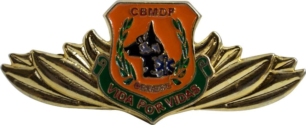 DISTINTIVO DE CURSO - VIDA POR VIDAS — imagem 1