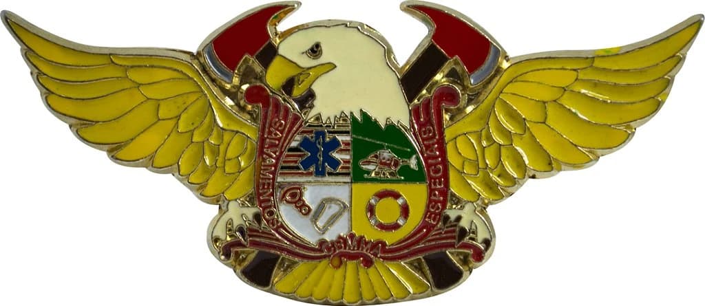 DISTINTIVO DE CURSO - SALVAMENTOS ESPECIAIS CBM MA — imagem 1