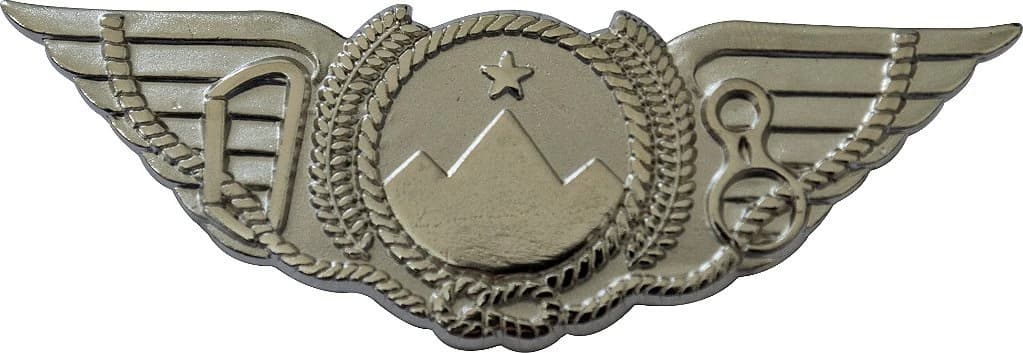 DISTINTIVO DE CURSO - GUIA DE MONTANHA EB — imagem 1
