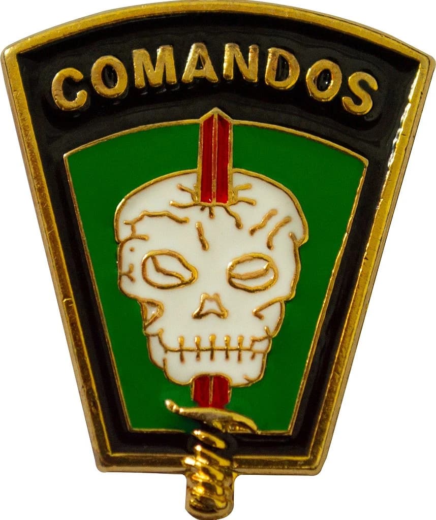 DISTINTIVO DE CURSO - COMANDOS EB — imagem 1