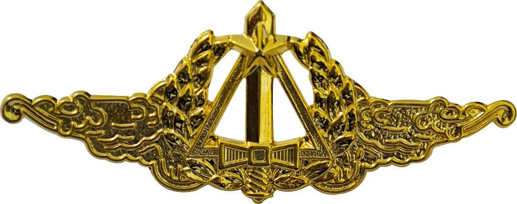 DISTINTIVO DE CURSO - ESPECIALIZAÇÃO EsAEx EB — imagem 1