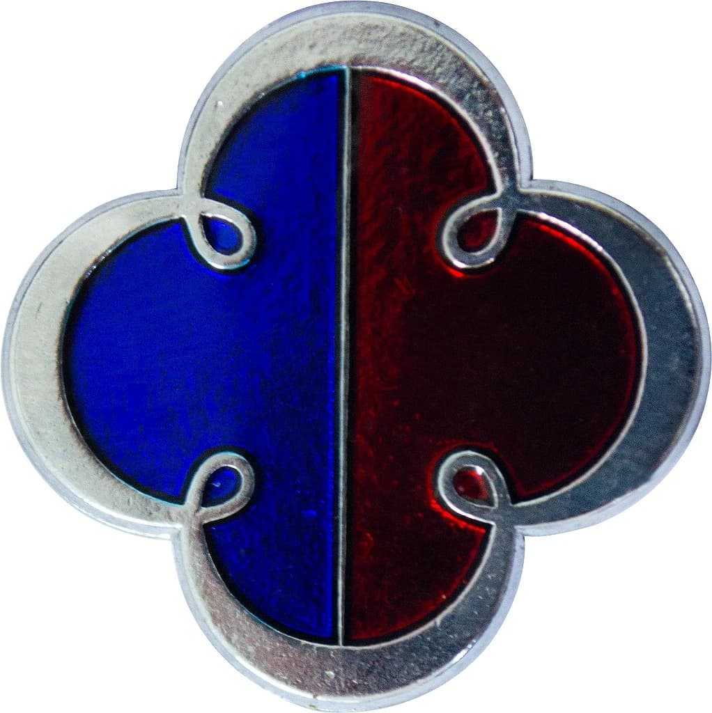 DISTINTIVO DE CURSO - CFSC EB — imagem 1