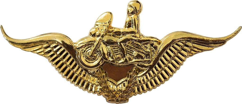 DISTINTIVO DE CURSO - EB MOTOCICLISTA — imagem 1