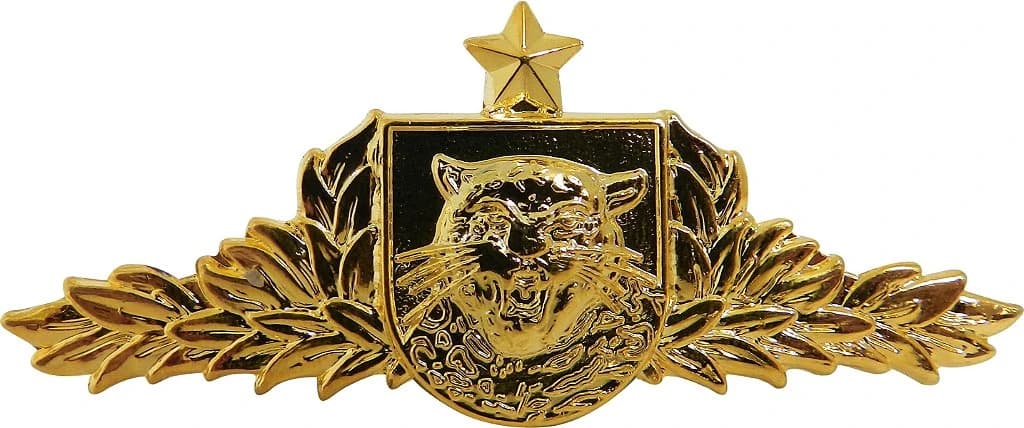 DISTINTIVO DE CURSO - EB CIGS — imagem 1