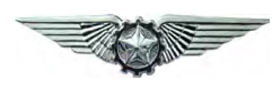 DISTINTIVO DE CURSO - ESPECIALISTA — imagem 1
