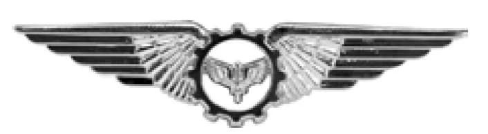 DISTINTIVO DE CURSO - BÁSICO — imagem 1