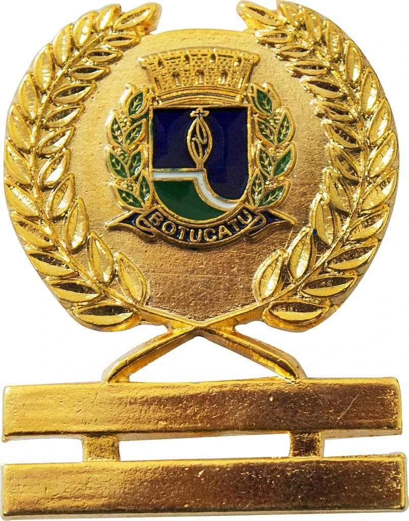 DISTINTIVO DE OMBRO - INSP. GCM BOTUCATU — imagem 1