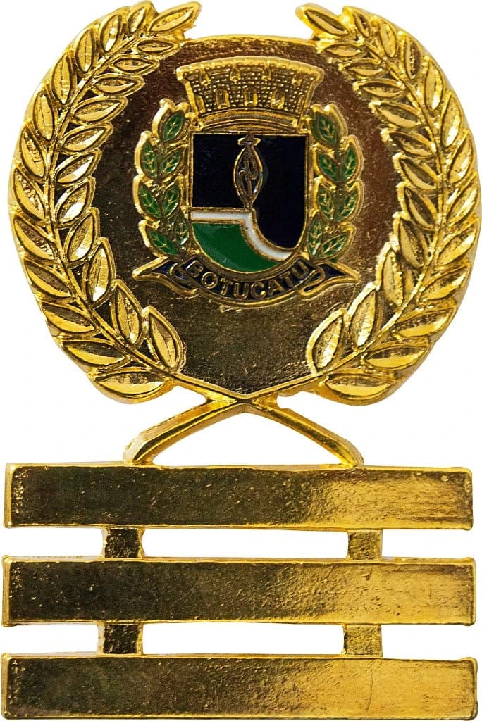 DISTINTIVO DE OMBRO - INSP. CHEFE GCM BOTUCATU — imagem 1