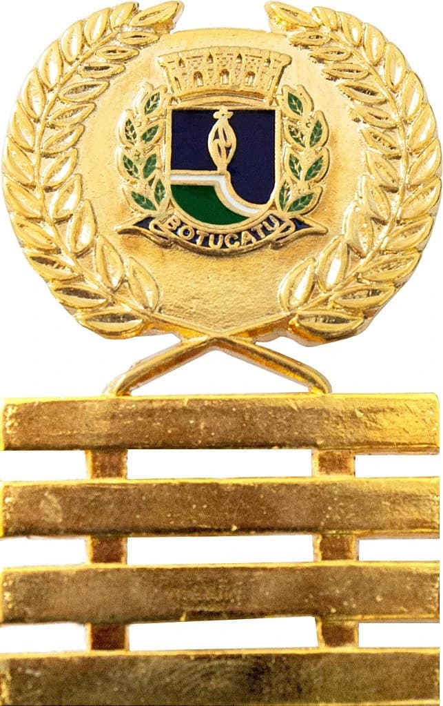 DISTINTIVO DE OMBRO - SUB. CMDT. GCM BOTUCATU — imagem 1