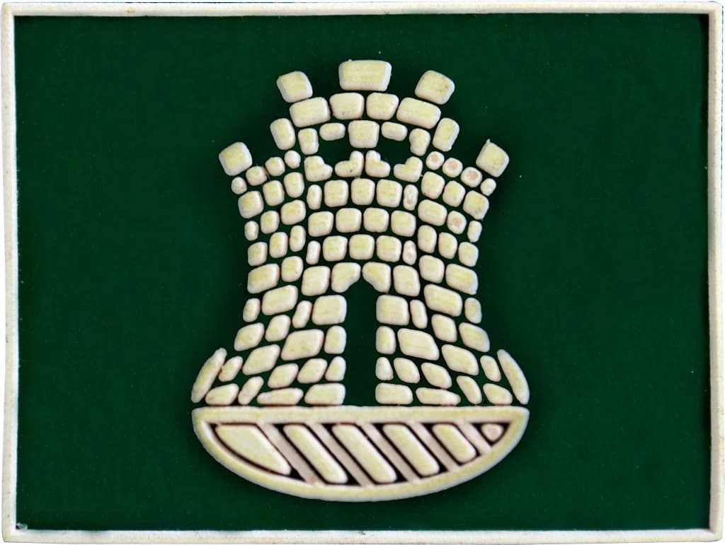 DISTINTIVO DE GOLA EMB. - EB ENGENHARIA — imagem 1