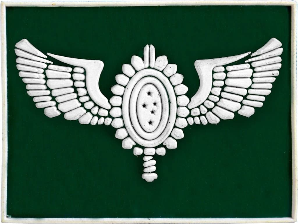 DISTINTIVO DE GOLA EMB. - EB AVIAÇÃO — imagem 1