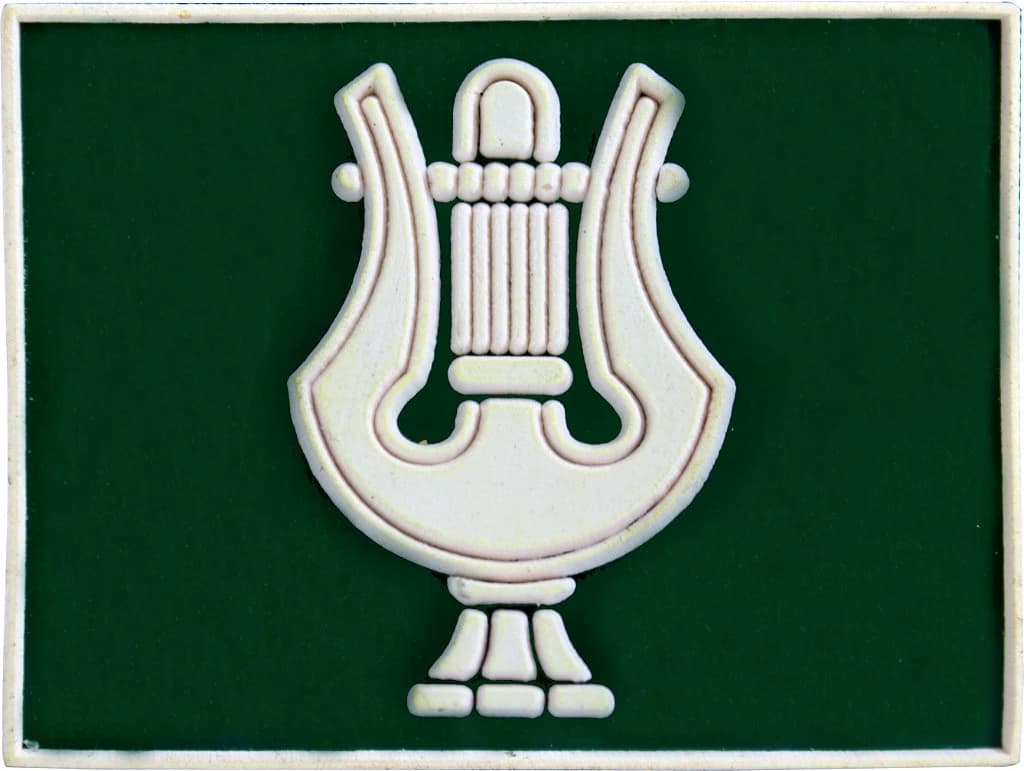 DISTINTIVO DE GOLA EMB. - EB MÚSICO — imagem 1