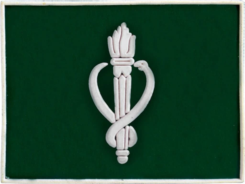 DISTINTIVO DE GOLA EMB. - EB VETERINÁRIO — imagem 1
