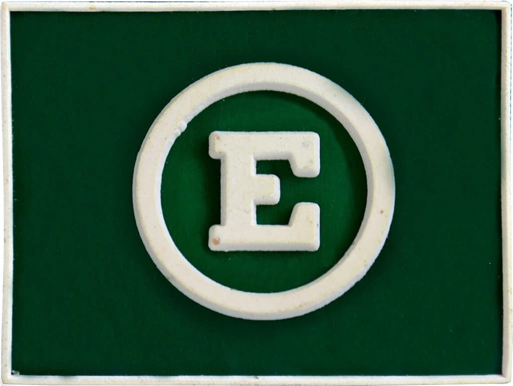 DISTINTIVO DE GOLA EMB. - EB QUADRO ESPECIAL — imagem 1