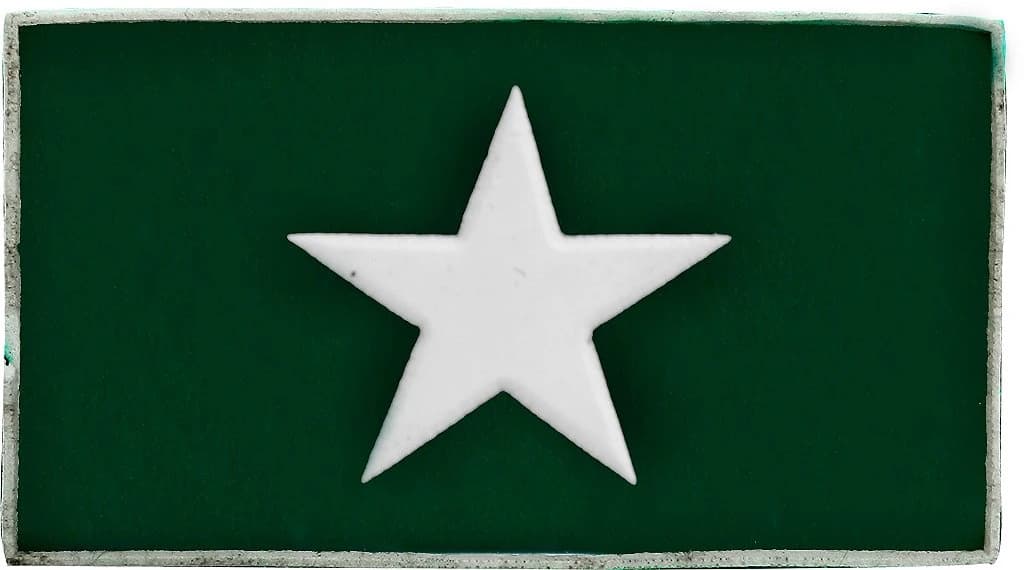 DISTINTIVO DE GOLA EMB. - EB ASPIRANTE — imagem 1
