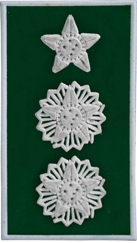 DISTINTIVO DE GOLA EMB. - EB TENENTE / CORONEL — imagem 1