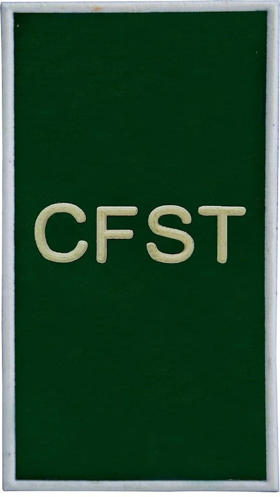 DISTINTIVO DE GOLA EMB. - EB CFST-EV — imagem 1