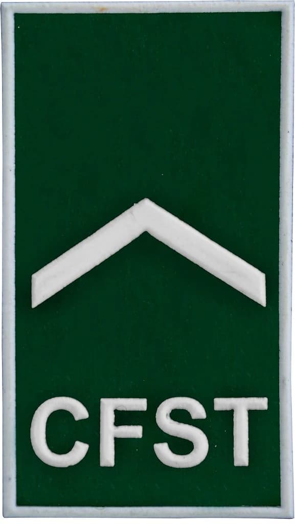 DISTINTIVO DE GOLA EMB. - EB CFST-EP — imagem 1