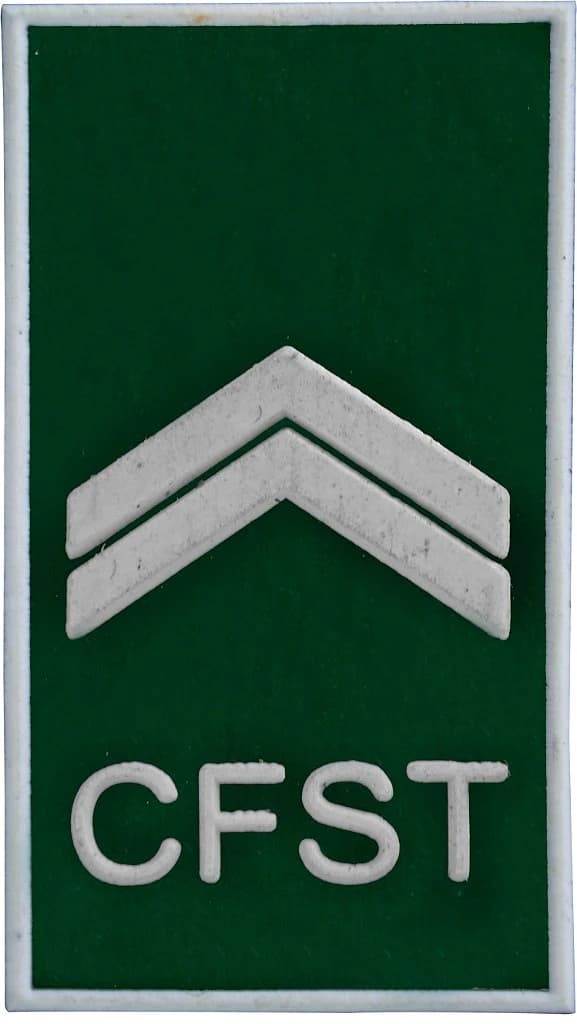 DISTINTIVO DE GOLA EMB. - EB CFST-CB — imagem 1