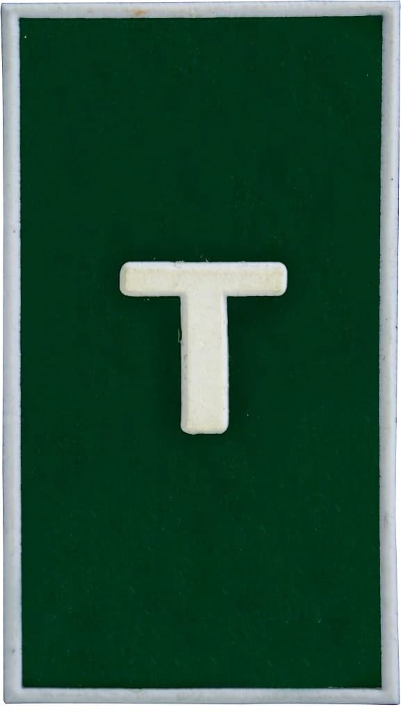 DISTINTIVO DE GOLA EMB. - EB TAIFEIRO — imagem 1