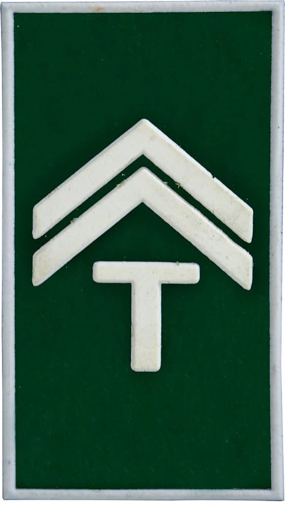 DISTINTIVO DE GOLA EMB. - EB CABO. TAIFEIRO — imagem 1