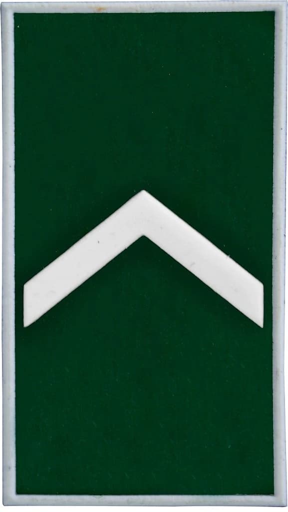 DISTINTIVO DE GOLA EMB. - EB SOLDADO — imagem 1