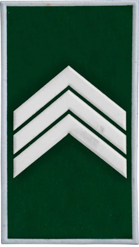 DISTINTIVO DE GOLA EMB. - EB 3º SGT — imagem 1