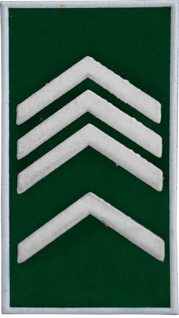 DISTINTIVO DE GOLA EMB. - EB 2º SGT — imagem 1