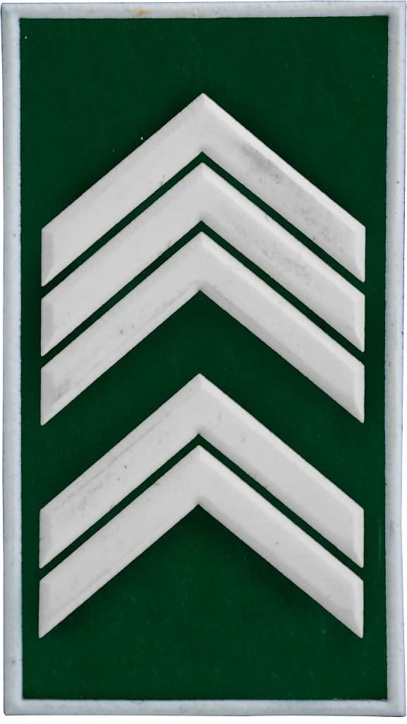DISTINTIVO DE GOLA EMB. - EB 1º SGT — imagem 1