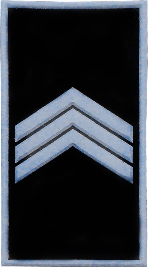 DISTINTIVO DE GOLA EMB. - 3º SGT PM — imagem 1