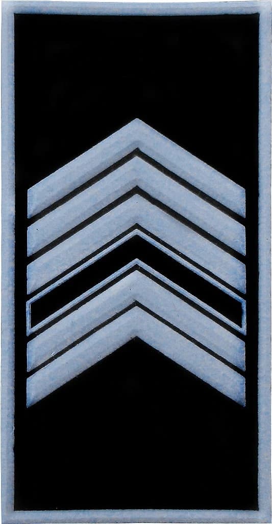 DISTINTIVO DE GOLA EMB. - 1º SGT PM — imagem 1