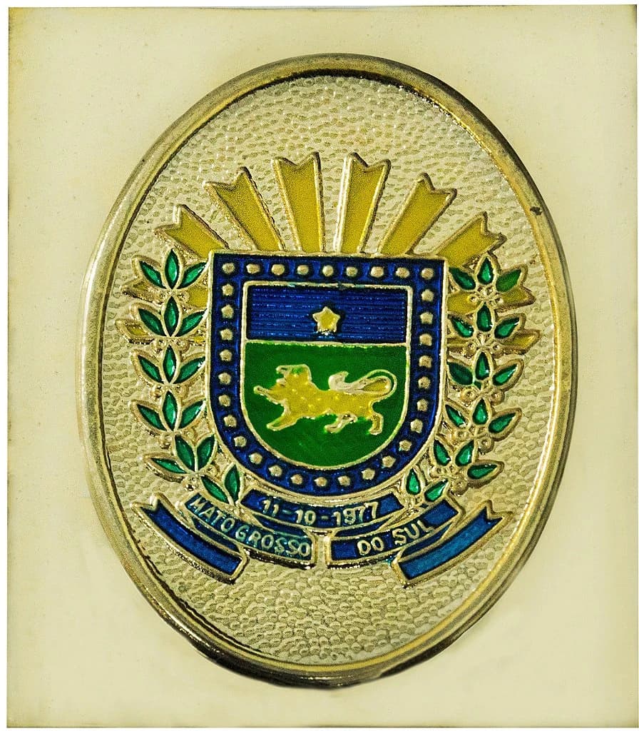 CHAPA CARTEIRA - MATO GROSSO DO SUL — imagem 1
