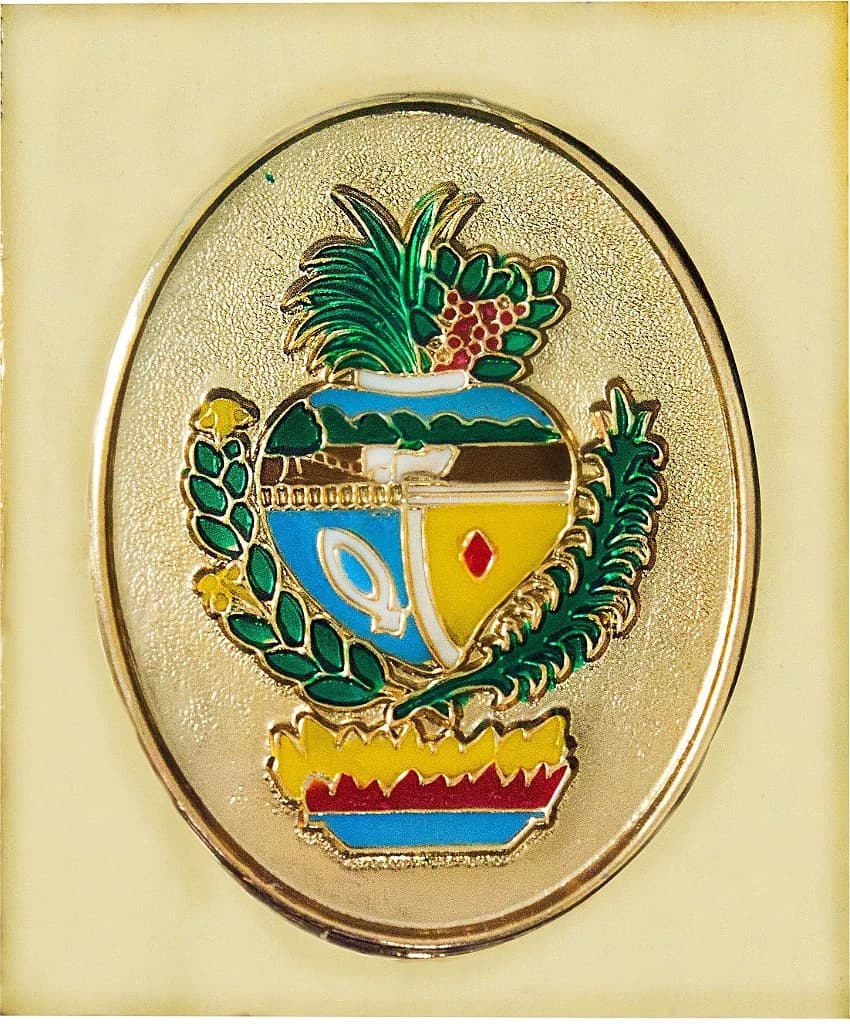 CHAPA CARTEIRA - GOIÁS — imagem 1