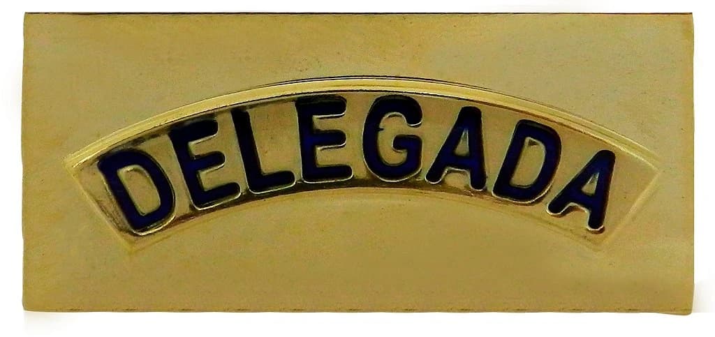 FAIXA SUPERIOR CARTEIRA - DELEGADA — imagem 1