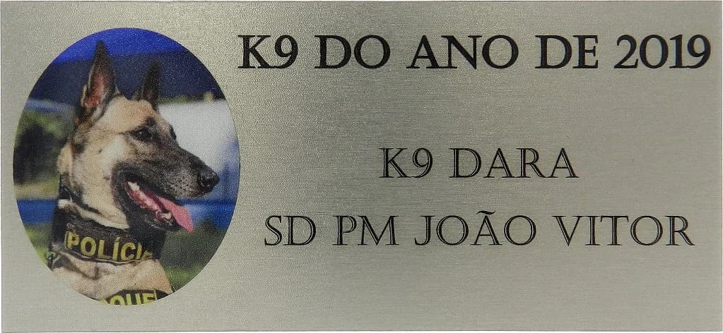 PLACA - K9 DO ANO DE 2019 — imagem 1