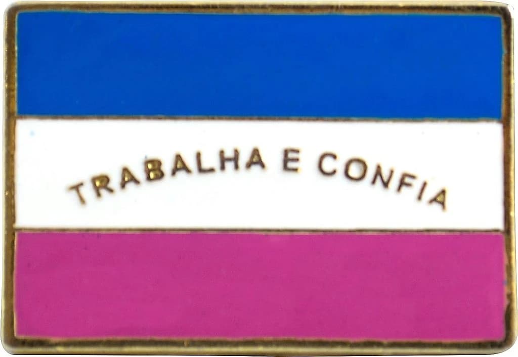 BOTTON - BANDEIRA ESPÍRITO SANTO — imagem 1