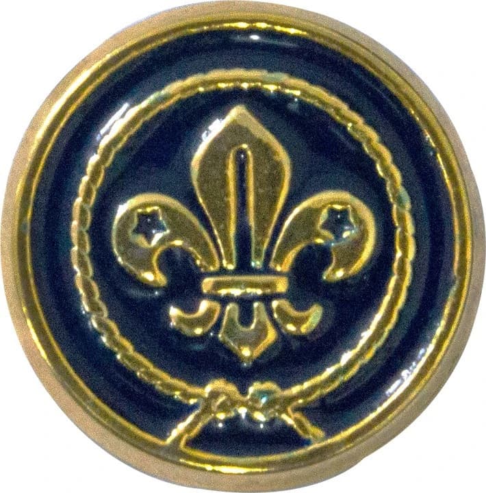 BOTTON - FLOR DE LIS — imagem 1