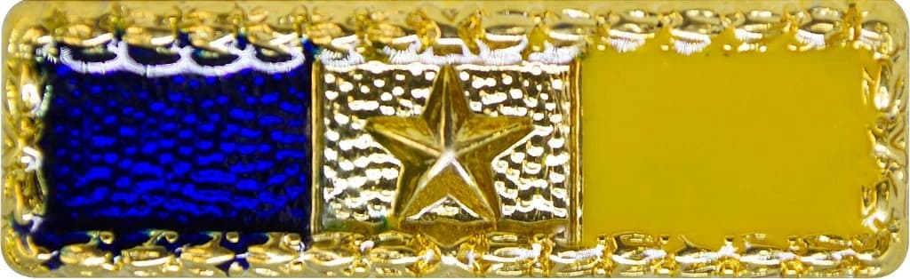 BARRETA - 10 ANOS GCM SP — imagem 1