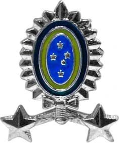 INSÍGNIA DE GOLA - GENERAL BRIGADA — imagem 1
